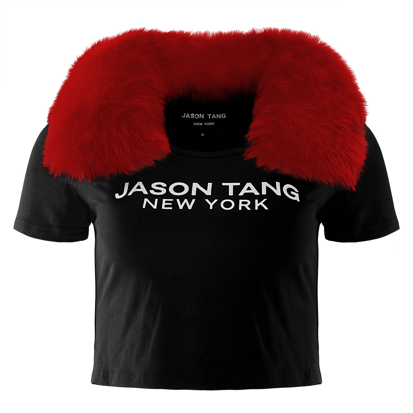 JASON TANG CROP TOP T-SHIRT