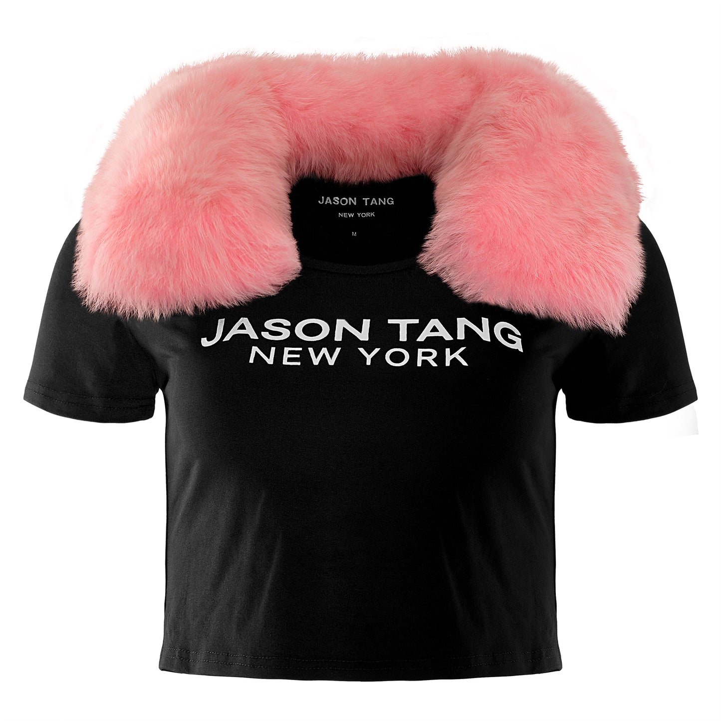 JASON TANG CROP TOP T-SHIRT