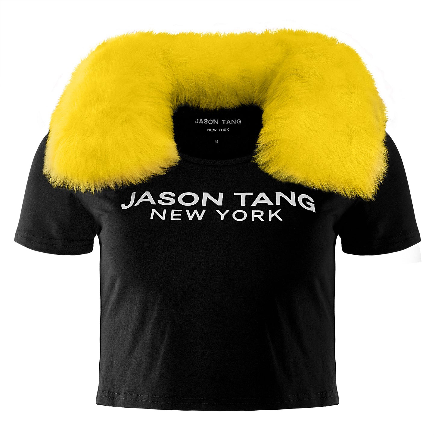 JASON TANG CROP TOP T-SHIRT